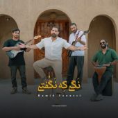 دانلود آهنگ حمید یونسی نگی که نگفتی